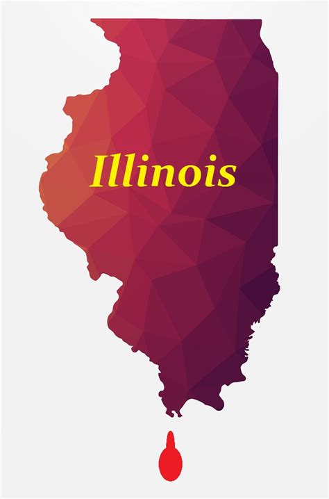 Will Illinois Be the First State to Go Bankrupt? | Armstrong Economics