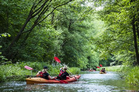 Kayaking Into The Wild Around Gdansk Tours And Adventures