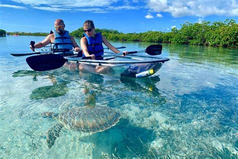 Clear Kayak Mangrove Cay Tour Providenciales