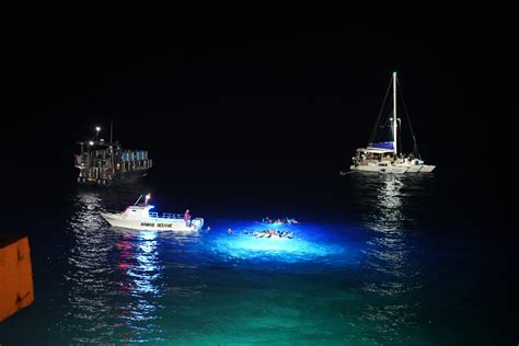 Manta Ray Night Snorkel In Kona Hawaii Ultimate Guide The Salt Sirens