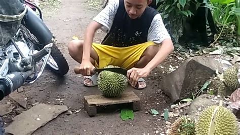 Mesum Di Kebun Duren Youtube