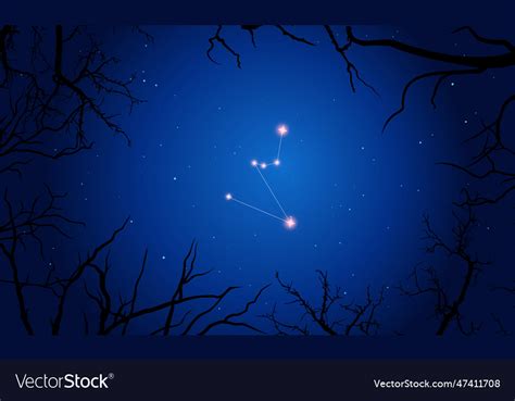 Hydrus Constellation Tree Branches Starry Sky Vector Image