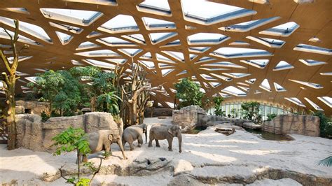 Elefantenhaus Zoo Zürich Zoo Architecture Zoo Park Elephant Sanctuary