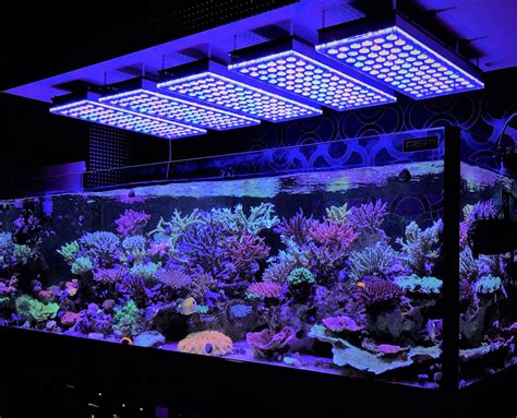 Marine Aquarium Led Lighting Pikolps