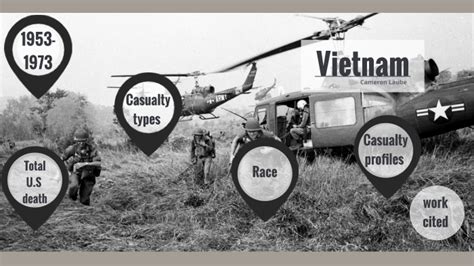 Vietnam War Casualty By Cameron Laube