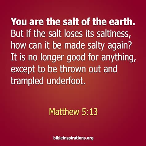 You Are The Salt Of The Earth Bible Inspirations
