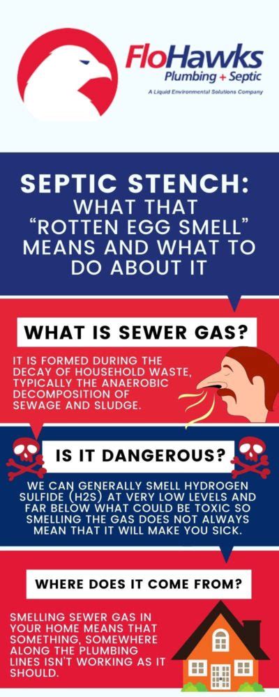 Septic Stench What That Rotten Egg Smell Means And What To Do About
