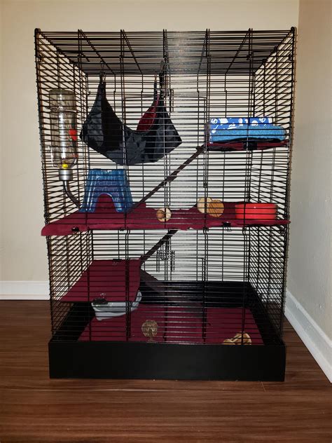 My Very First Rat Cage Setup The Cage Is A Me And You Rat Manor I Hope