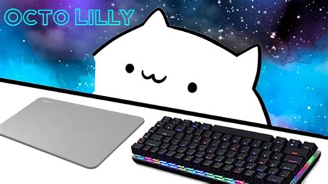 Bongo Cat Plays Fortnite Octo Lilly Youtube
