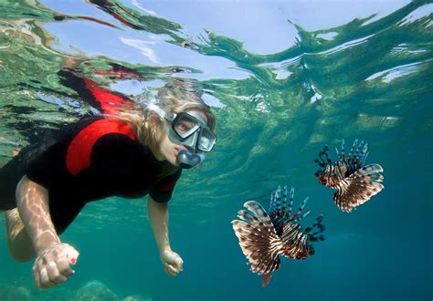 15 Must Apply Colleges For Marine Biology Degrees American Oceans