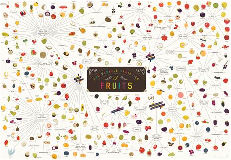 The Various Varieties Of Fruits By Pop Chart Lab