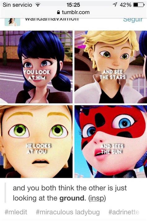 Miraculous Ladybug Adrien Memes