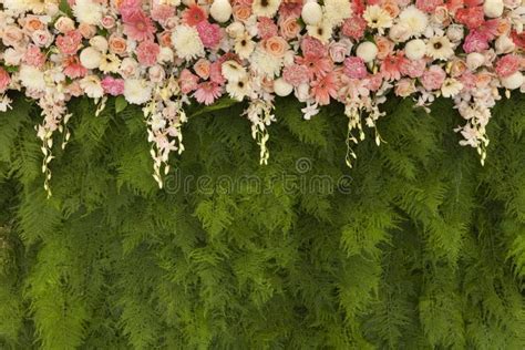 Beautiful Flowers With Green Fern Leaves Wall Background For Wed Stock
