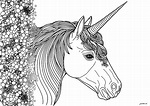 Unicornio realista - Unicornios - Colorear para Adultos