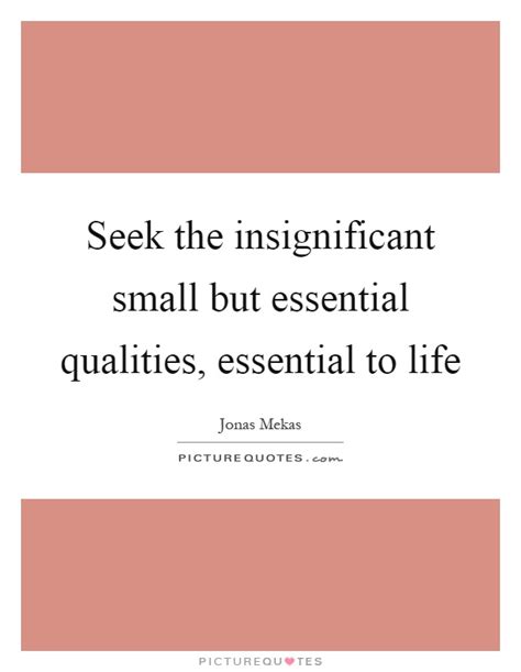 Seek The Insignificant Small But Essential Qualities Essential
