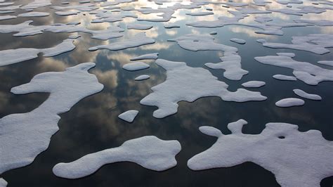 Sea Ice Melt In The Arctic Over Recent Decades Is Altering Ocean