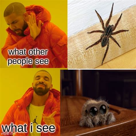 Spiders Are Cute Imgflip