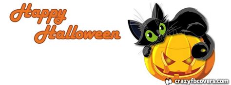 Cute Cat And Pumpkin Happy Halloween Facebook Cover