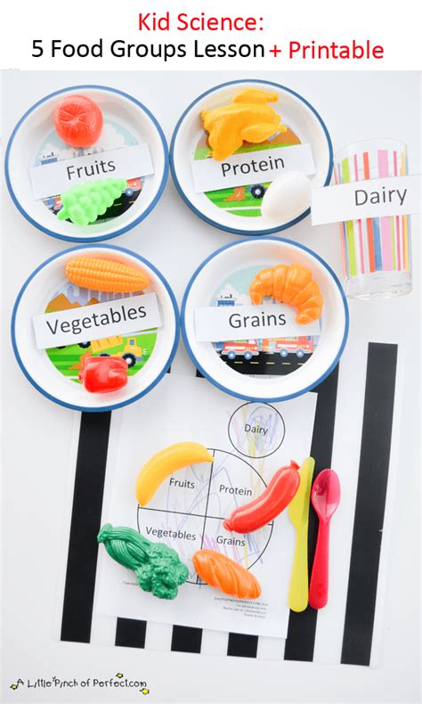 Science For Kids Learning About The 5 Food Groups Printable