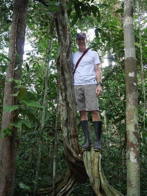 Ayahuasca The Magical Brew Of Amazonian Shamans El Mundo Magico