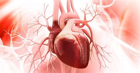 Adult Congenital Heart Disease Chd Symptoms And Treatment