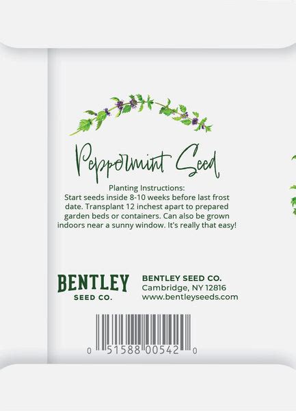 Simply Mint To Be Mint Seed Packets Bentley Seeds