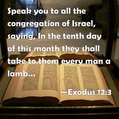 Exodus 123 Speak You To All The Congregation Of Israel Saying In The