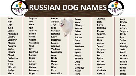 Most Popular Russian Dog Names Vocabulary Point