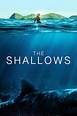 The Shallows (2016) - Posters — The Movie Database (TMDB)