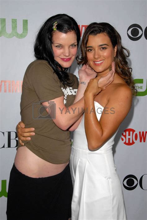 Pauley Perrette And Cote De Pablo Imagecollect By Imagecollect Vectors And Illustrations With