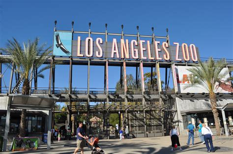 Go Wild An Insiders Guide To The La Zoo Los Angeles Zoo La Trip
