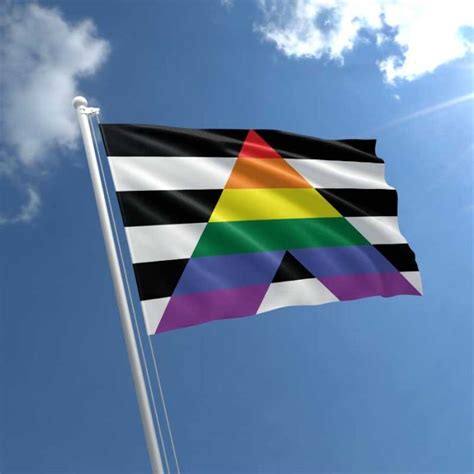 Straight Ally Flag LGBT Flag The Flag Shop