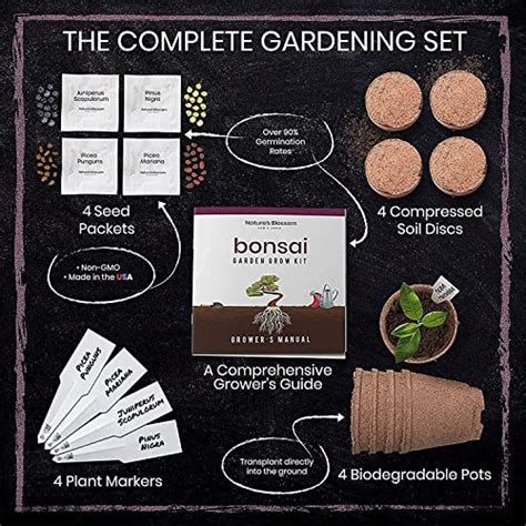 Natures Blossom Bonsai Tree Kit 4 Types Of Bonsai Seeds For Outdoor