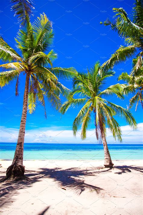 Beautiful Tropical Beach With Palm Trees White Sand Turquoise Ocean