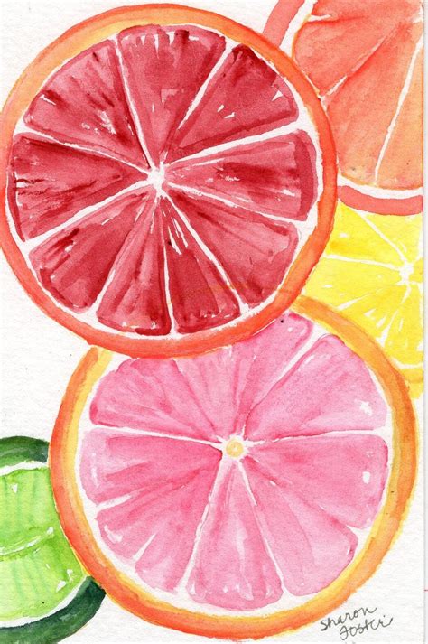 Citrus Original Watercolor Painting 4 X 6 Citrus Fruit Etsy Uk In