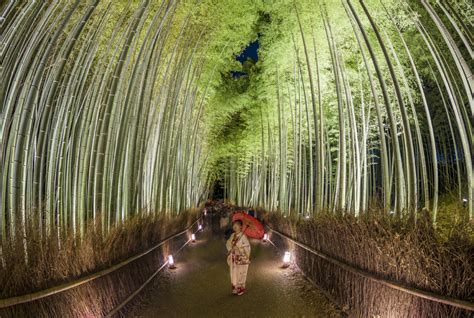 Plan visits to scuba & snorkeling, taman negara national park + skytropolis indoor theme park. Ultimate Guide to Kyoto, Japan - Travel Caffeine