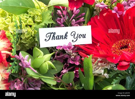 Thank You Card With Bouquet Of Spring Flowers Stock Photo Alamy