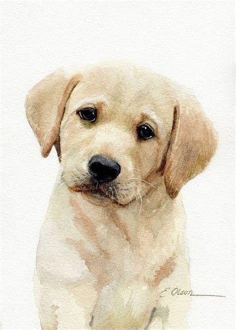 10 Labrador Dibujo