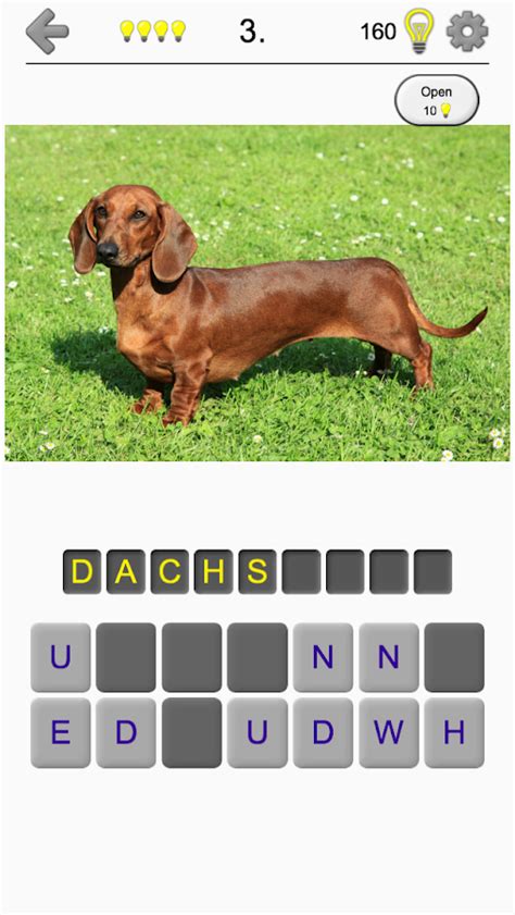 Dogs Quiz Guess Popular Dog Breeds On The Photos Android Apps On