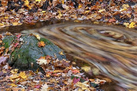 Swirling Leaves Photograph By Ward Mcginnis Fine Art America