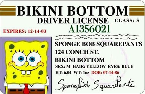 Spongebob Driver License Spongebob Birthday Spongebob Spongebob