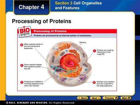 Cell Biology Ppt