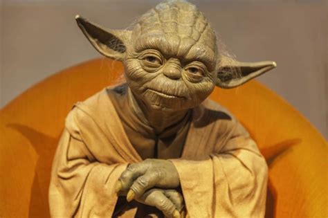Why Does Backwards Yoda Speak Starships