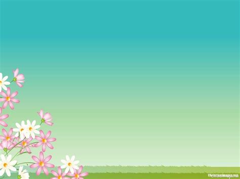 Spring Flowers Slideshow Wallpapers Wallpaper Cave