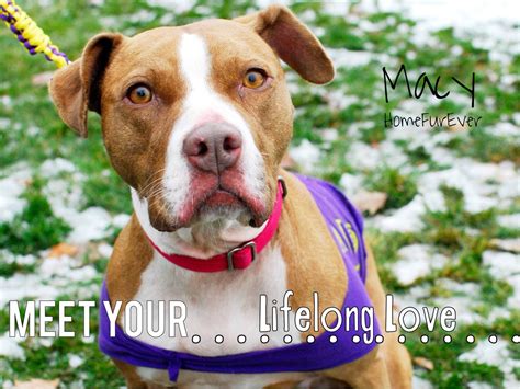 She is often found near ivy. Foster me! | Responsible pet owner, Pets, Pet owners