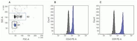 Exosome Human CD63 Isolation Detection Reagent From Cell Culture Media