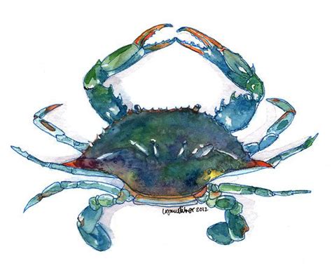 Maryland Blue Crab By Lynn Oliver Cangrejos Azules Acuarela Mundo
