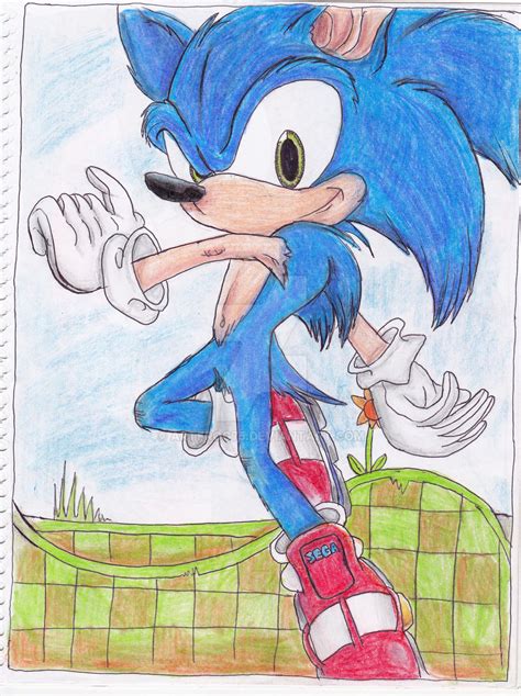 Sonic The Hedgehog By Artfrog75 On Deviantart