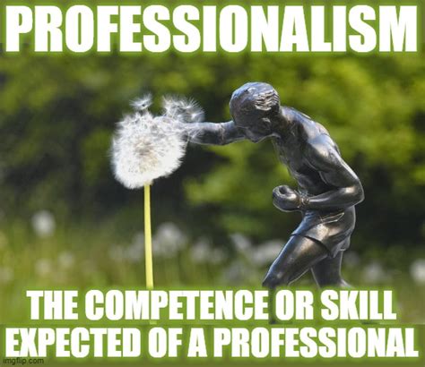 Professionalism Imgflip