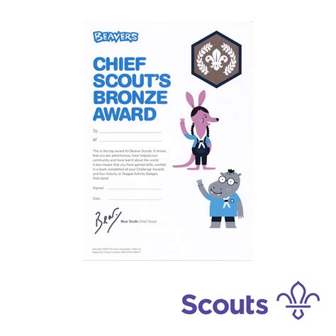 Beavers Chief Scouts Bronze Award Certificates 10 Pack Project X